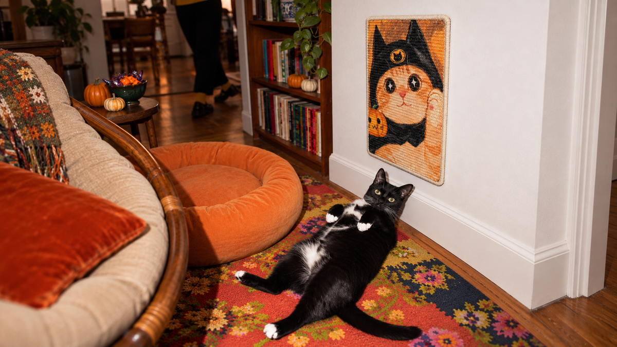 A kitchen with the Starry Cat scratching pad on a blue island