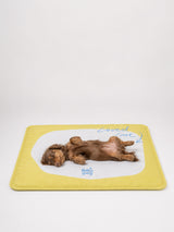 Nest — Pet Cooling Mat