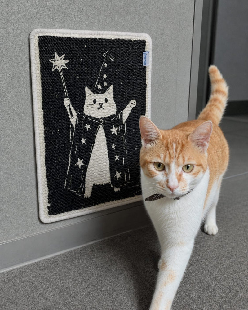Magic Cat