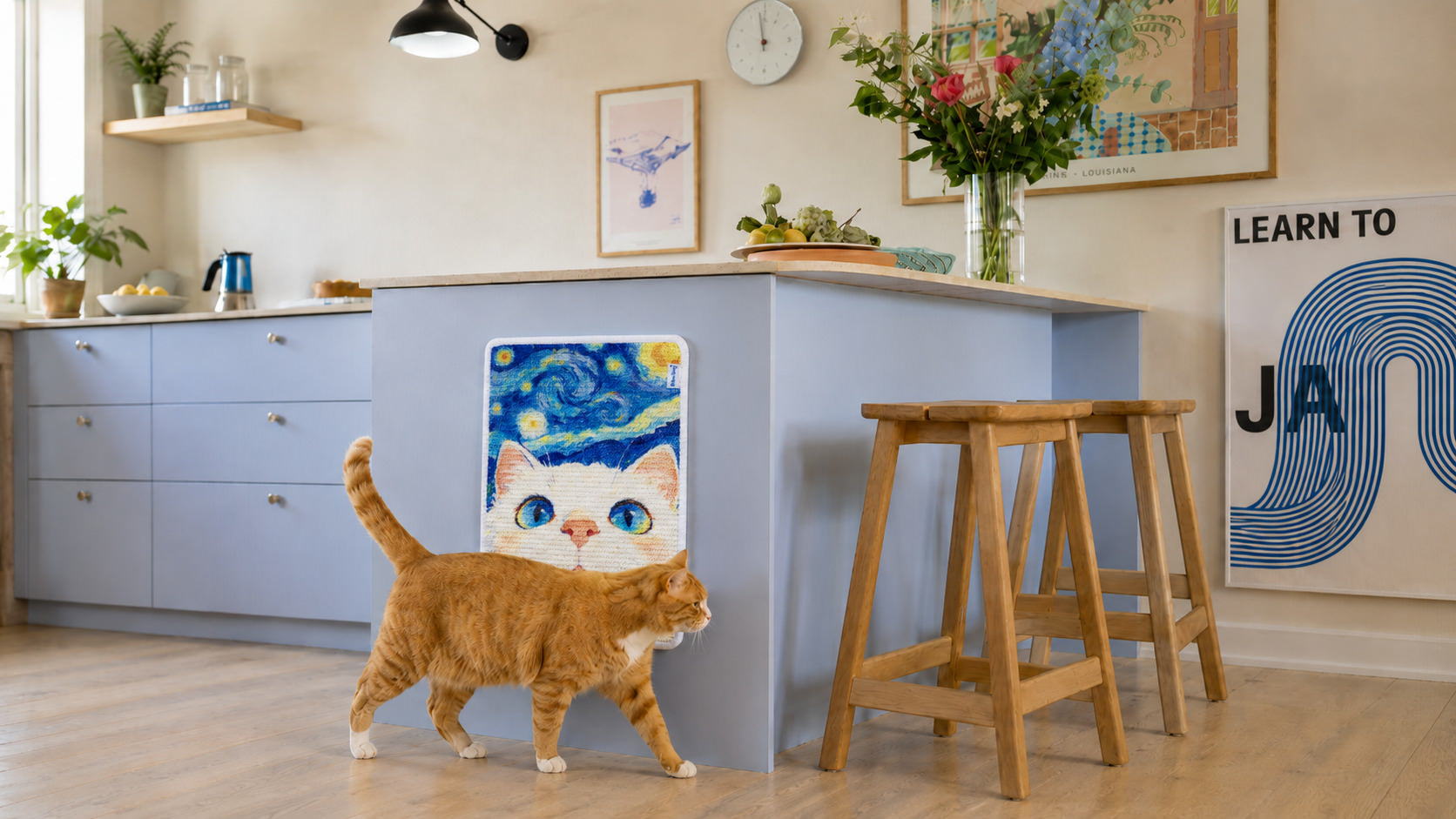 A kitchen with the Starry Cat scratching pad on a blue island